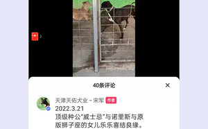 威士忌雪碧X乐乐 900100000041984，NLSZ1603.jpg