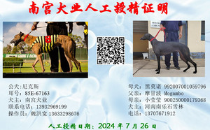 尼克斯X黑莫诺 992007001059796.jpg