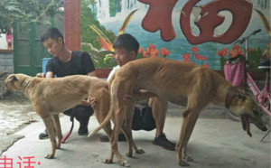 夸大的灵魂X疾风 156111110086642，NGQX 714A.jpg