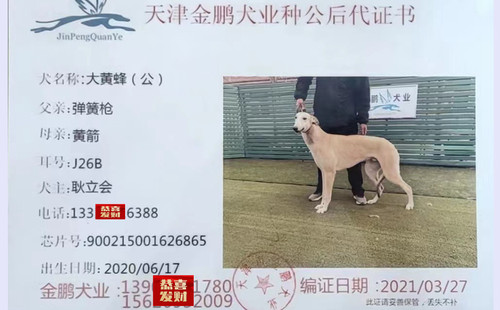 大黄蜂 900215001626865，J26B