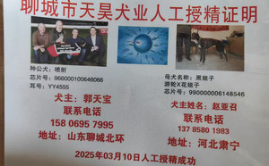 喷射X黑妞子 990000006148546.jpg