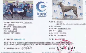 爆炸男孩X速战速决 DBAS1，515000187032990.jpg