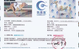 卡尼亚游轮XKC密码 991001001575792.jpg