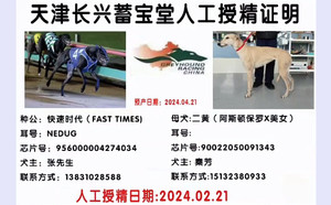 快速时代X二黄 900022050091343.jpg