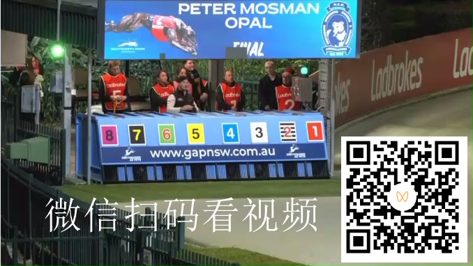屏幕录制 2026-07-05 2025[20260705-211638]_副本.jpg