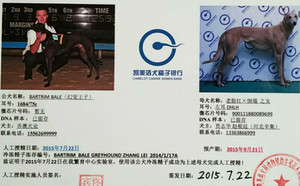 幻觉王子X脸红宝贝 DTLH 51B，900111880089699.jpg