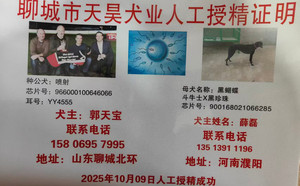 喷射X黑蝴蝶 900168021066285.jpg