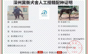 黑神X皇族丫头 900168801095213，CXDD2005.jpg