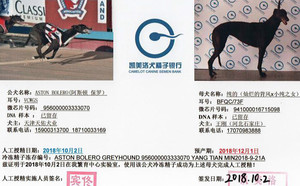 阿斯顿保罗X纯的 BFQC 73F，941000016715098.jpg
