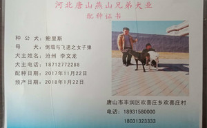 鲍里斯X子弹 DTFS 75B.jpg