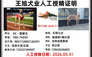 飞行雷德王X幻觉公主 900168801066248.jpg