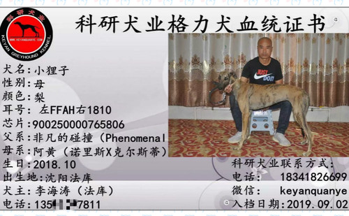 小狸子 900250000765806，FFAH1810