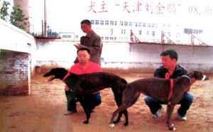 大包X灰母 Itchy Witcy Woo.jpg