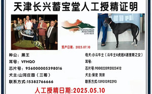 黑王X小斗牛士 900022092023412.jpg