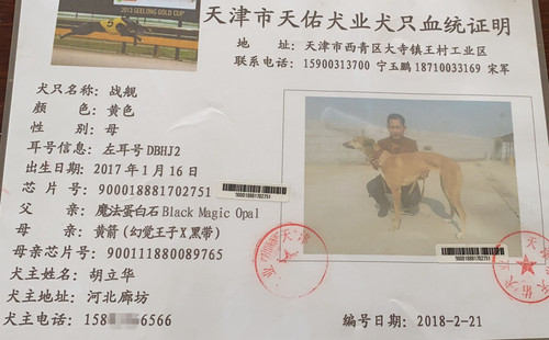 战舰 DBHJ2，900018881702751，凤凰