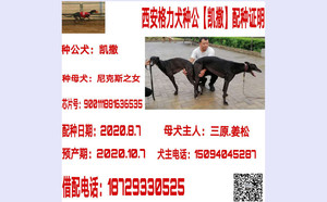 凯撒X妞妞 900111881636535.jpg