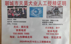 喷射X辉煌小白腿 NGXH 717M，900115000929373.jpg