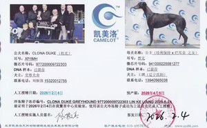杜克X公主 941000225081277.jpg