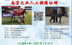 法汉X靓点900219000991201.jpg