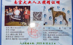 黑王X黄花梨 TY536，941000225080536.jpg
