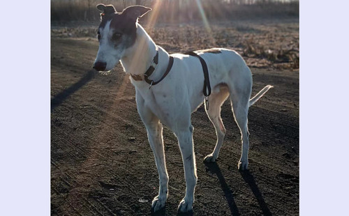 花保罗 156100009547003