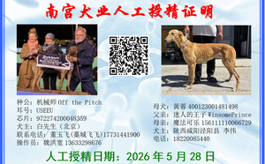 机械师X黄蓉 400123001481498.jpg