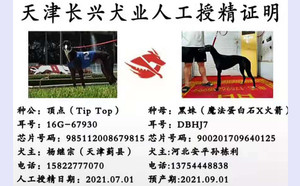 顶点X黑妹 DBHJ7，900201709640125.jpg