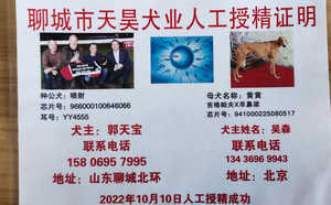 喷射X黄黄 PFYB1，941000225080517.jpg