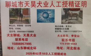 阿斯顿吉甘特X东方红 156111110097254，J64H.jpg