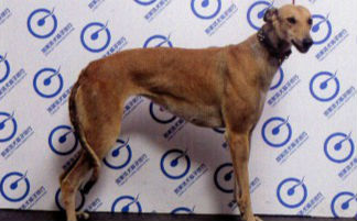 玲玲 941000016715092，900250000105040