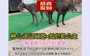 DNA无证幻觉X灿烂的公主 900215009728087.jpg