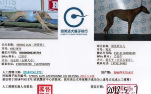 弹簧枪X156111110098180.jpg