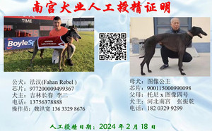 法汉X图像公主 900115000990098.jpg