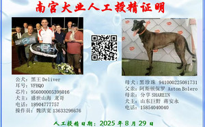 黑王X黑珍珠 941000225081731，TY960.jpg