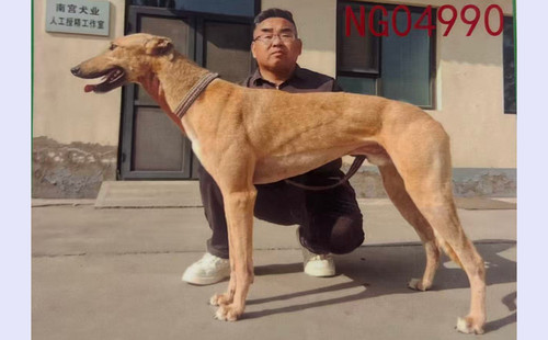 哈先生 900219002829490，NGXH923M7