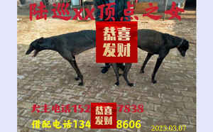 陆巡X大黑 900168801097667，CXDD2012.jpg