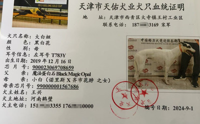 大白妞 900023069708659，T783Y