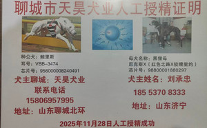 鲍里斯X黑狸母 988000001880297.jpg