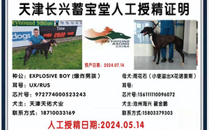 爆炸男孩X雨花石 156111110096072.jpg