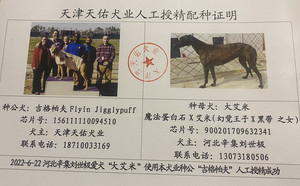 吉格帕夫X大艾米 900201709632341.jpg