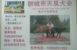 夸大的灵魂X二黑 900128001216764.jpg