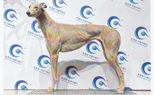 红狐988000001880271.jpg