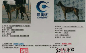 哈利保持X狸母 900111880089666.jpg