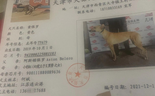 黄保罗 TY679，941000225081183