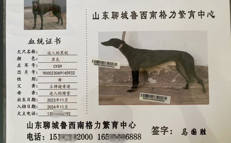 迷人的黑妮 900023069145932