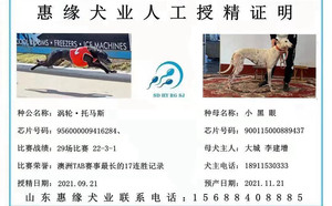 涡轮·托马斯X小黑眼 NGXH 917A，900115000889437.jpg