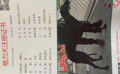 黑妮儿 900115001743572，NGXH720A19