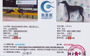 魔法蛋白石X白雪公主 900111880715225，HJWCAWT.jpg