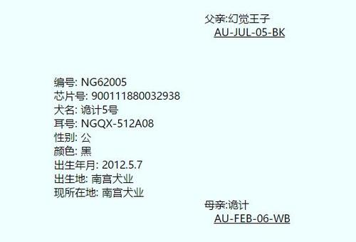 诡计5号 NGQX 512A，900111880032938