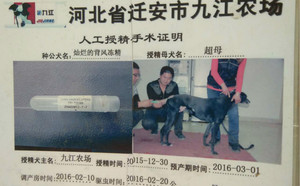 灿烂的背风X超母 Nun's Habit，OAD E095.jpg